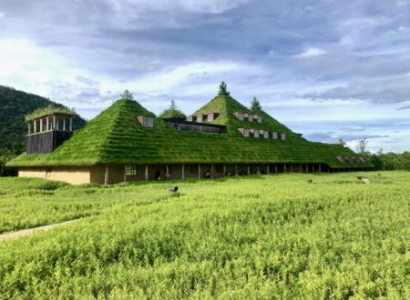 住まいとみどりの関係性