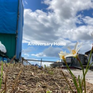 晴れているうちに・・・！