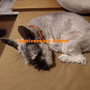 中西心中お察しくださいっ…。