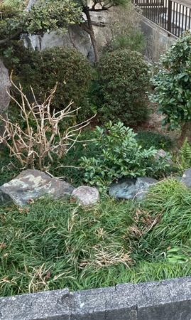 記念日　anniversary