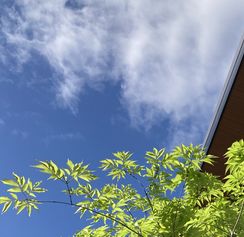 緑化推進委員会