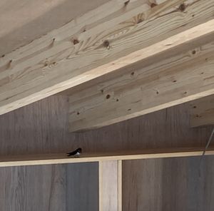 つばめが来る家