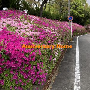 中西、おさんぽすぽっと？