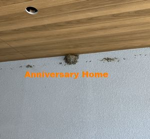 中西から続報お届っ！