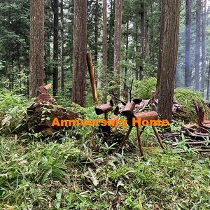 中西、動きますっ！