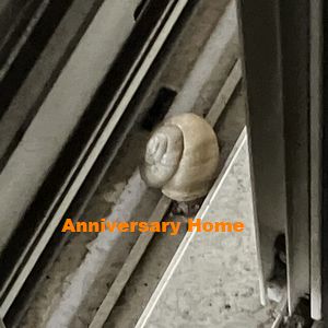 唯一無二のっ！